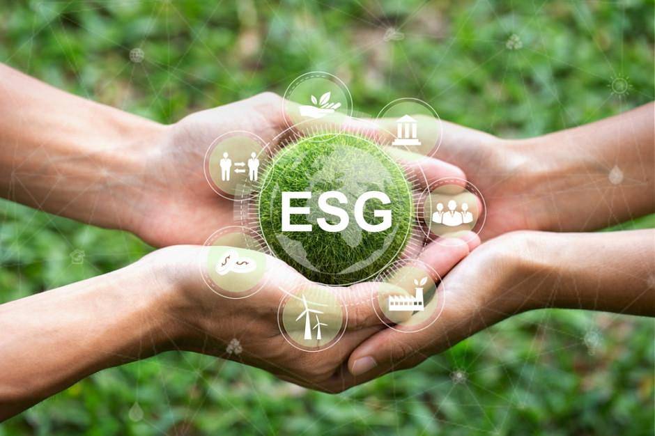 ESG – co to jest i dlaczego ma znaczenie dla biznesu?