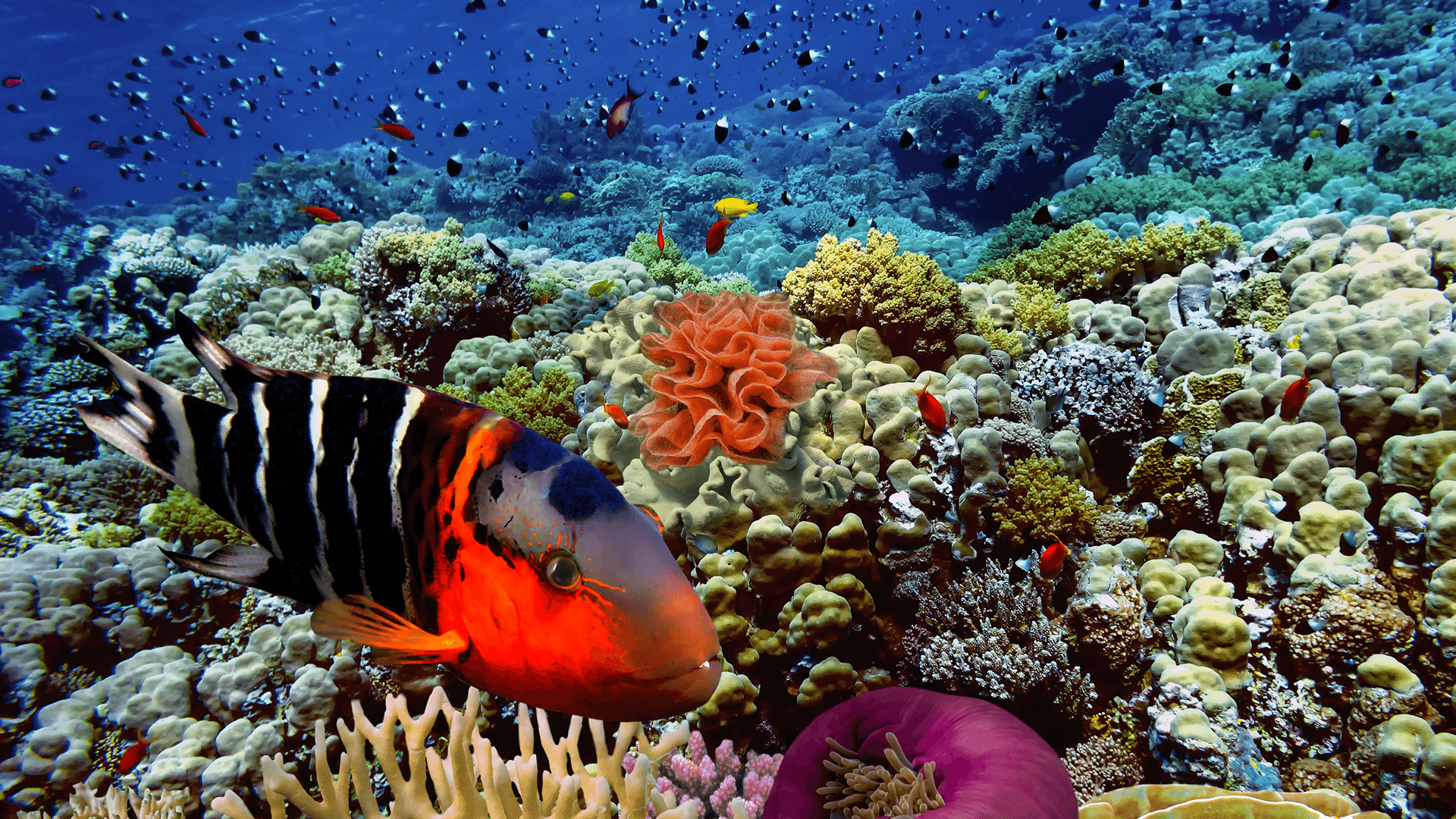 Egipt na urlop – Hurghada czy Marsa Alam? Podpowiadamy