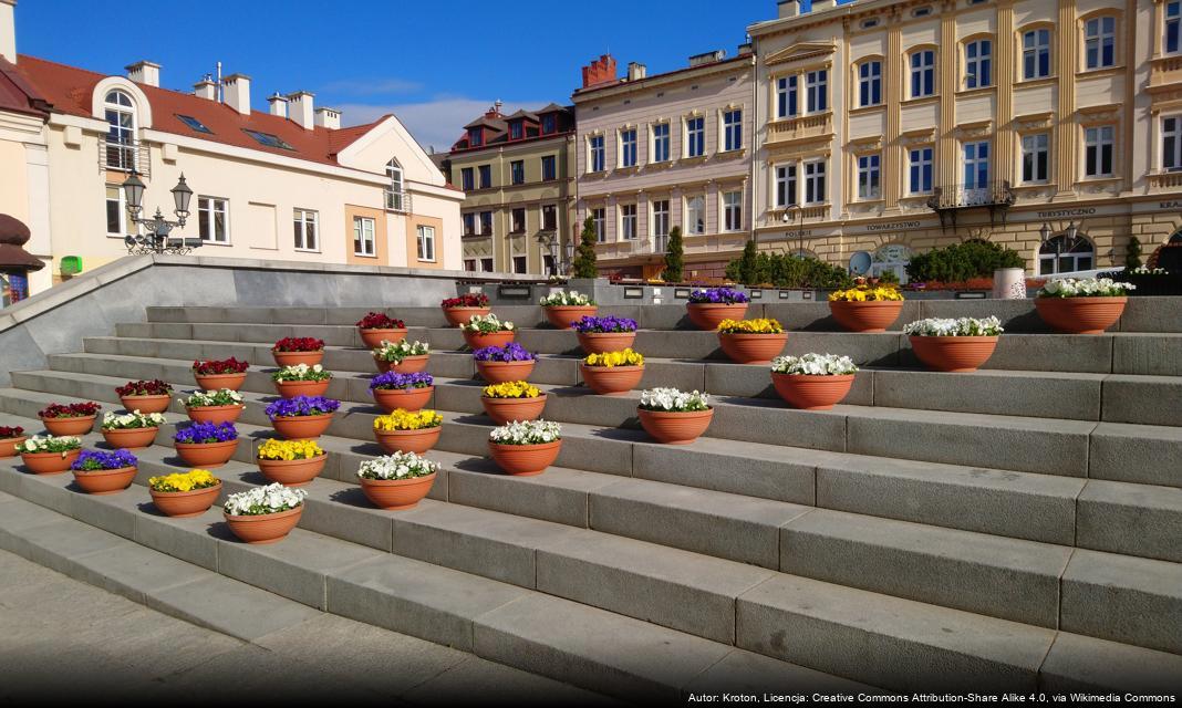 Rzeszów ogłasza konkurs na program wykrywania zakażeń wirusowego zapalenia wątroby typu C