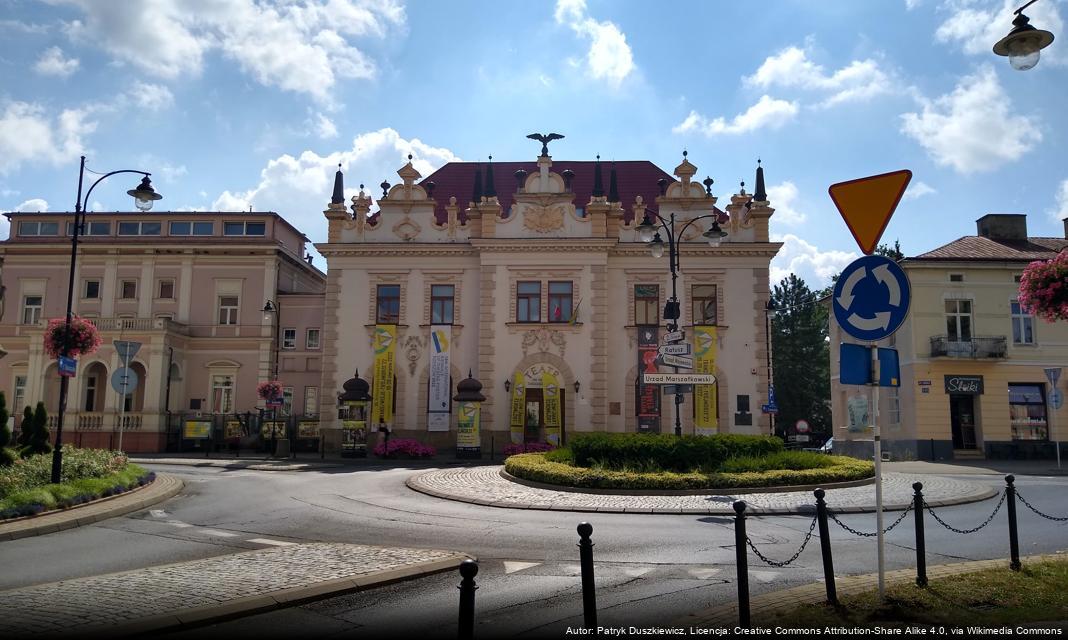 Nabór kandydatów do Rzeszowskiej Społecznej Rady ds. Osób z Niepełnosprawnościami